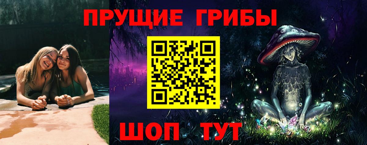 Губкин  Галлюциногенные грибы Cubensis  Вход с VPN 