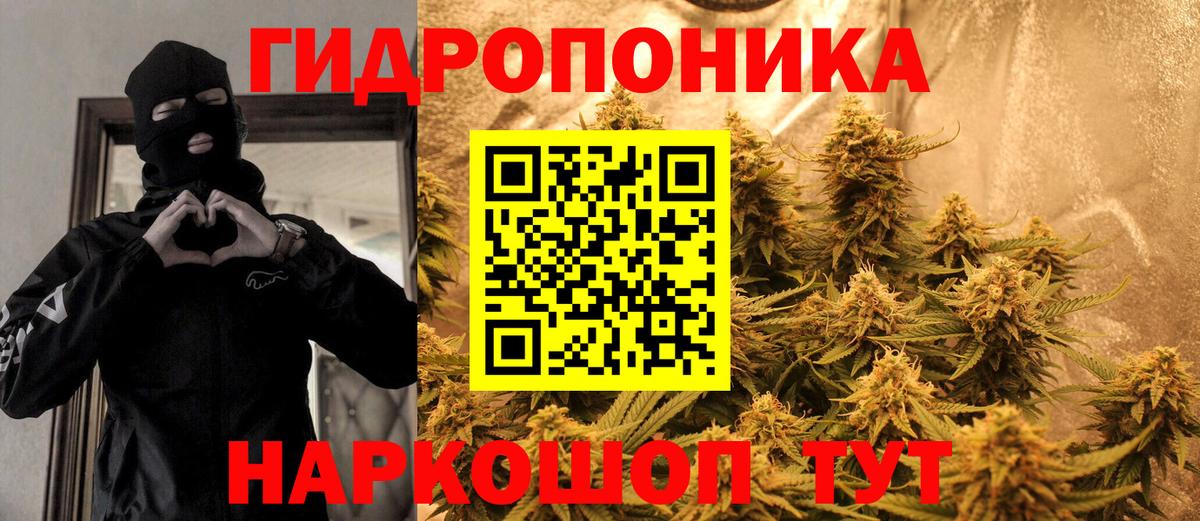 Бошки марихуана планчик  МАРИХУАНА марихуана  Канабис планчик  Губкин  Вход с VPN 